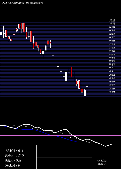  Daily chart CerebraInt