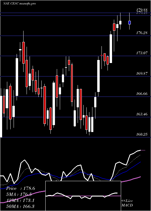  Daily chart Cesc