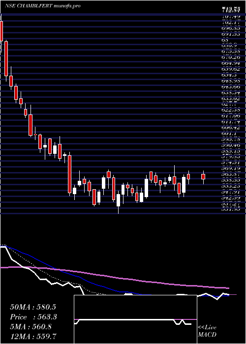 Daily chart ChambalFertilizers