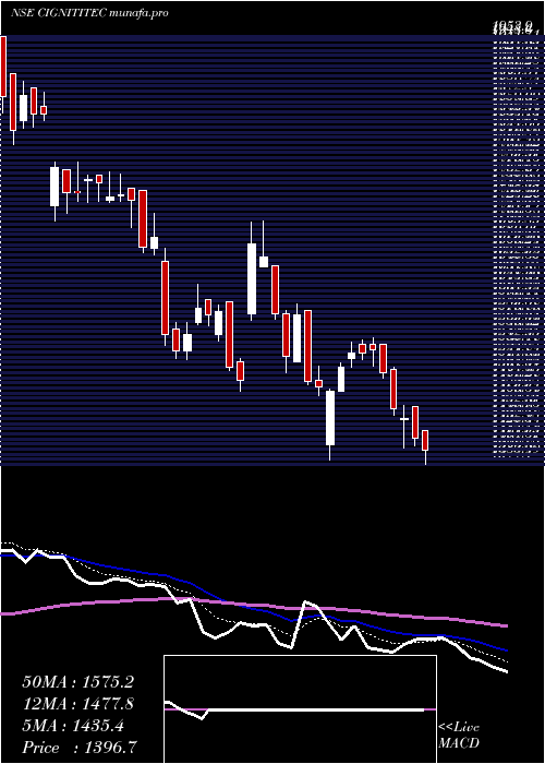  Daily chart CignitiTechnologies