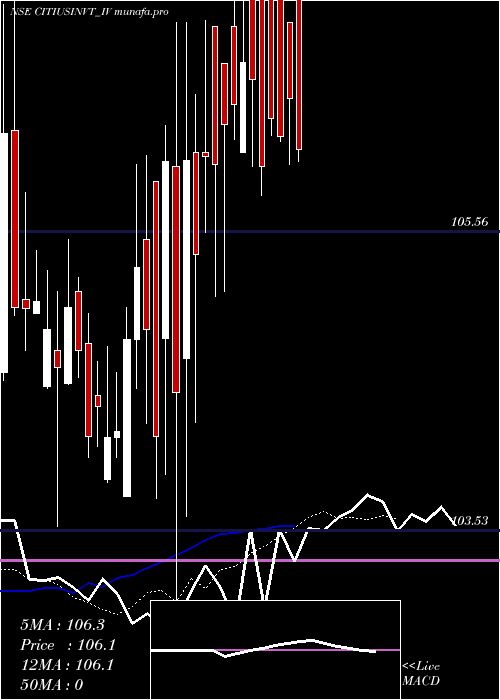  Daily chart CitiusTransnet