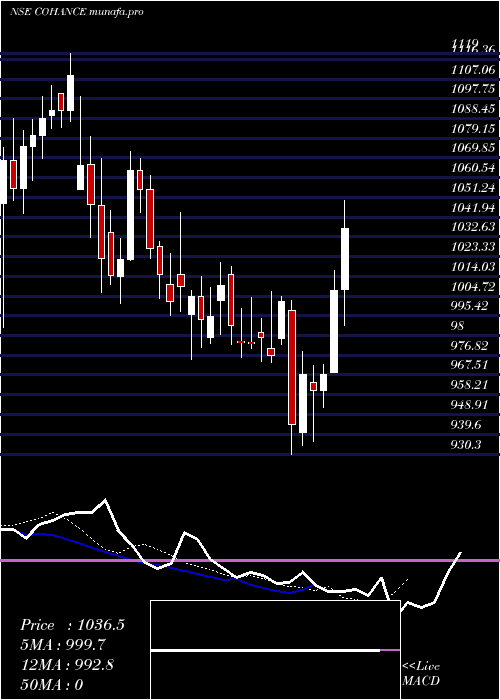 Daily chart CohanceLifesciences