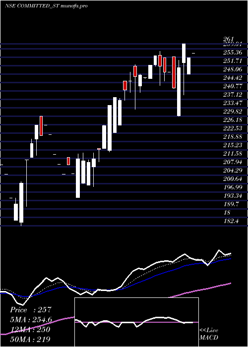  Daily chart CommittedCargo