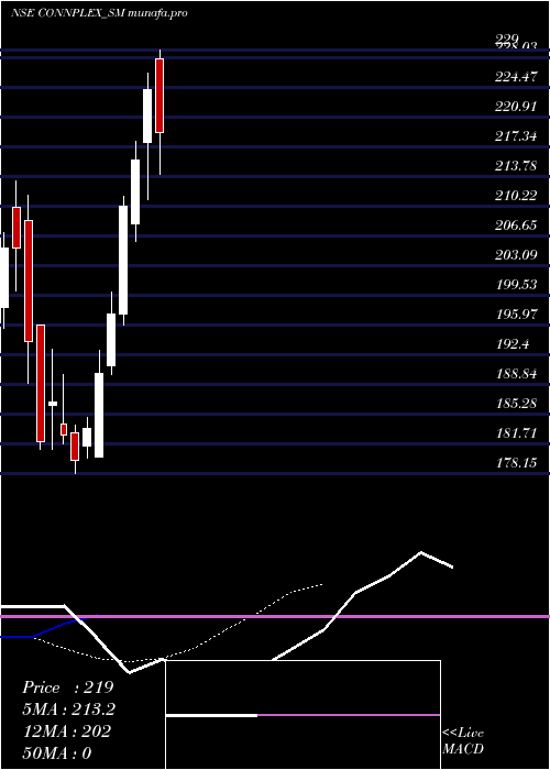  Daily chart ConnplexCinemas
