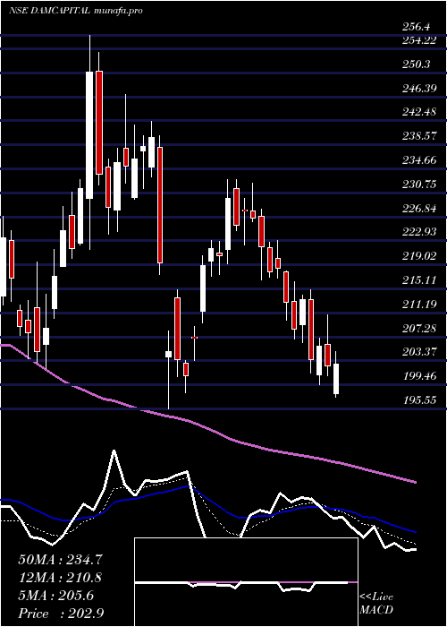 Daily chart DamCapital