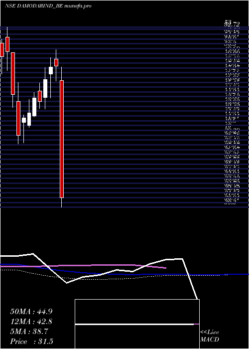  weekly chart DamodarIndustries