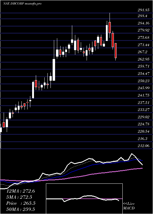  Daily chart DB