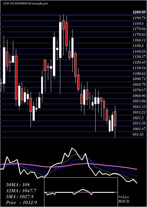  Daily chart DcmShriram