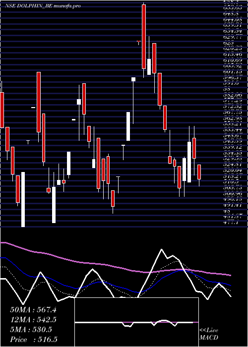  Daily chart DolphinfEnt