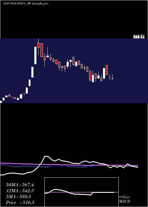  weekly chart DolphinfEnt