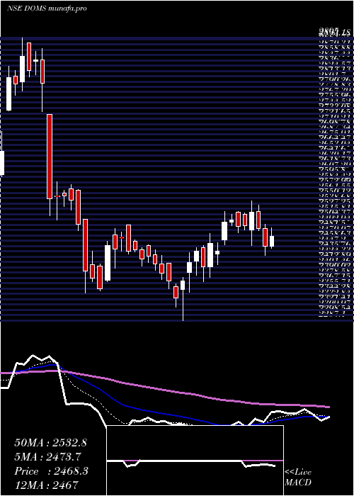  Daily chart DomsIndustries