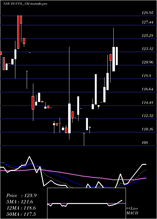 Daily chart DucolOrgs