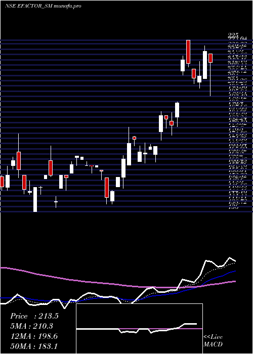 Daily chart EFactor