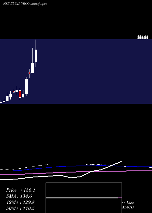  monthly chart ElgiRubber