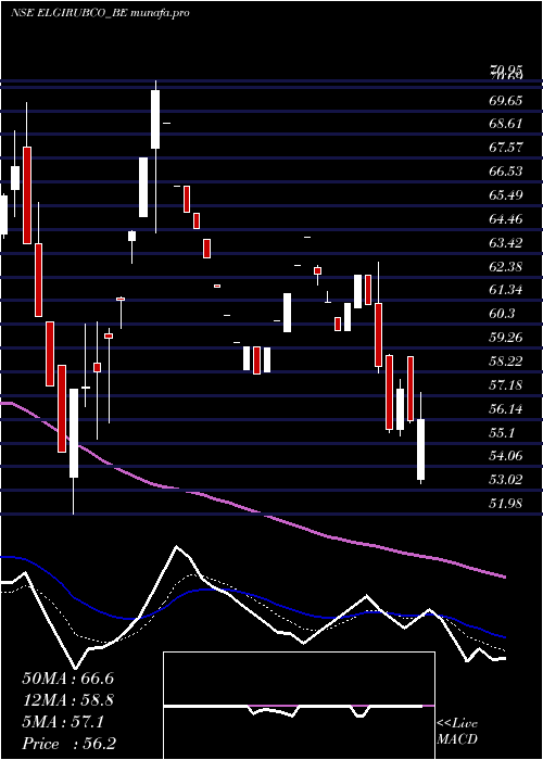 Daily chart ElgiRubber