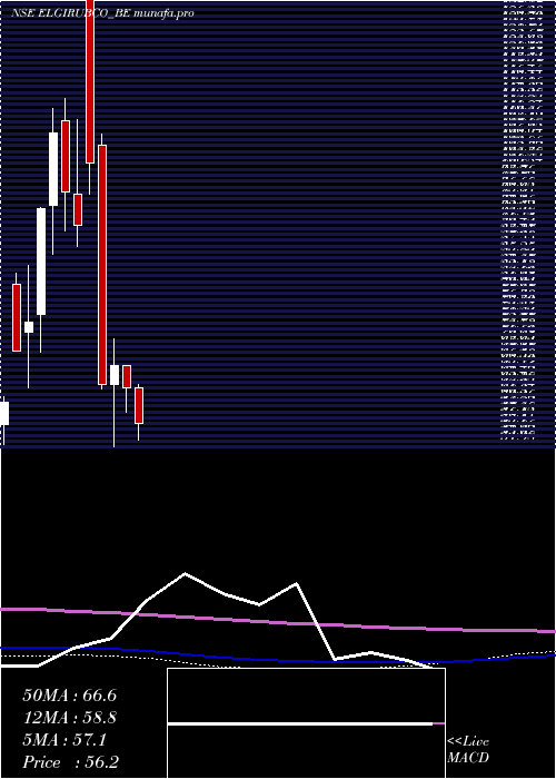 monthly chart ElgiRubber