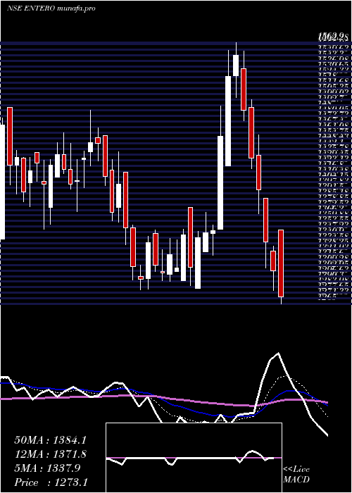  Daily chart EnteroHealthcare