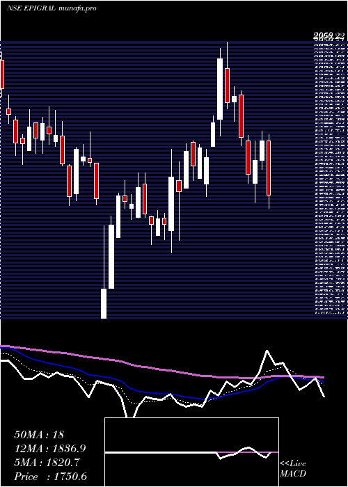  Daily chart Epigral