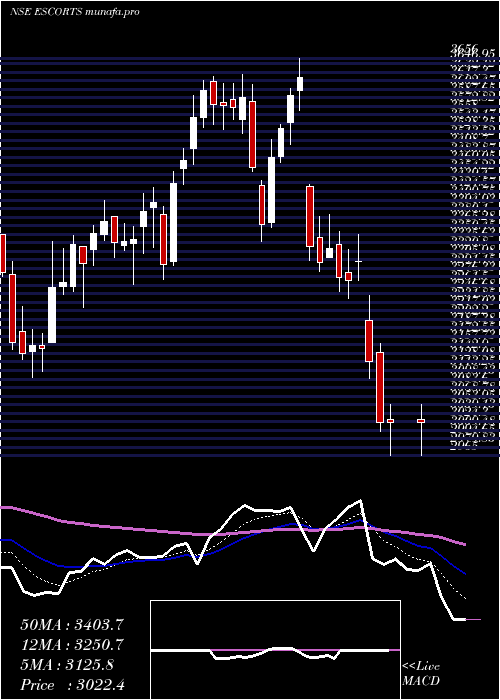  Daily chart Escorts