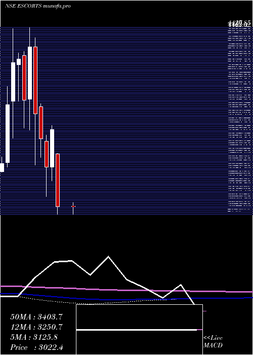  monthly chart Escorts