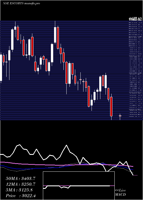  weekly chart Escorts