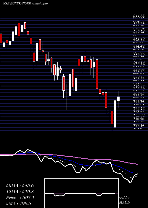  Daily chart EurekaForbes