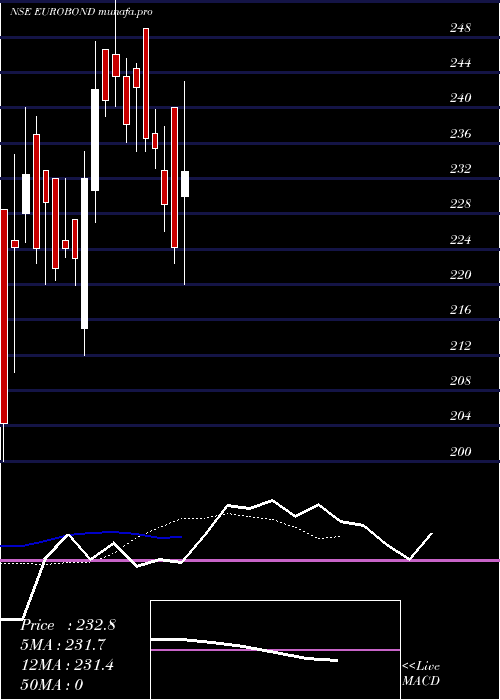 Daily chart EuroPanel