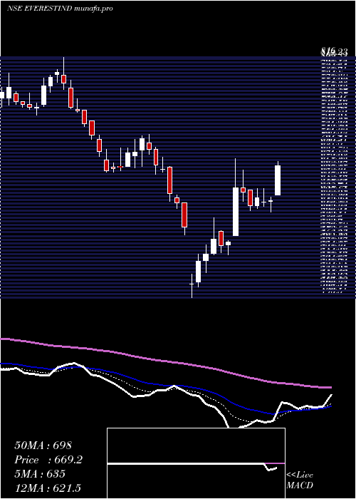 Daily chart EverestIndustries