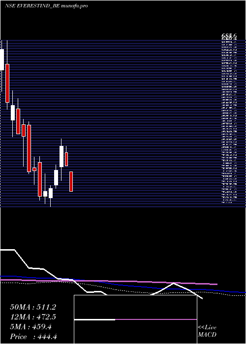 weekly chart EverestIndustries