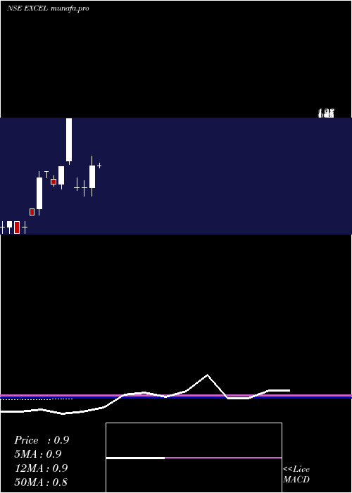  monthly chart ExcelRealty