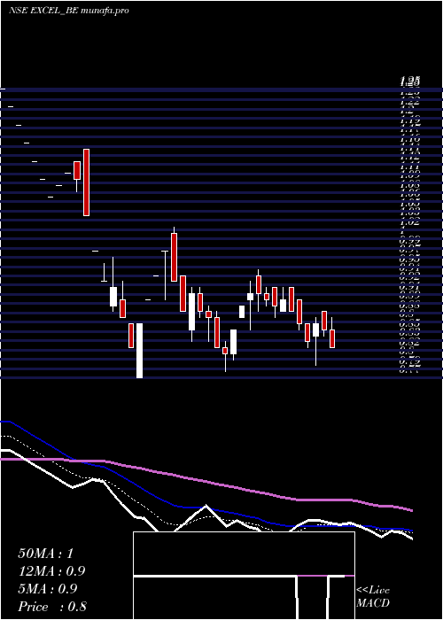  Daily chart ExcelRealty