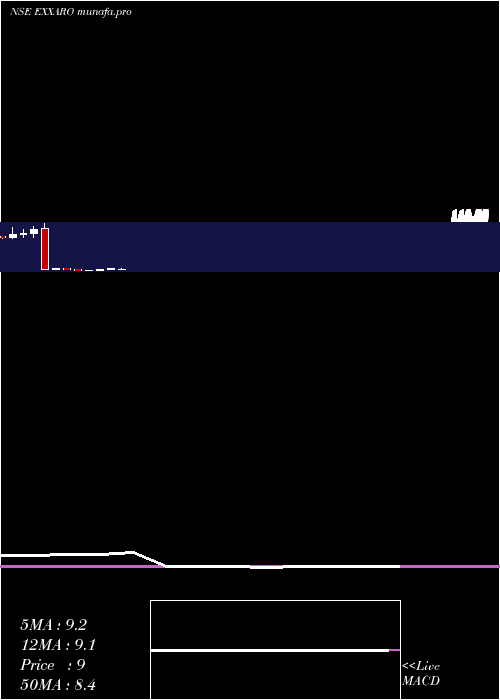  monthly chart ExxaroTiles