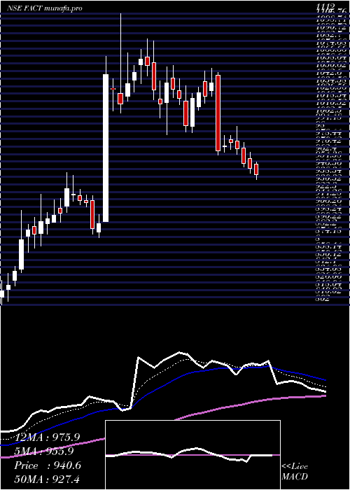Daily chart FertilizersAnd