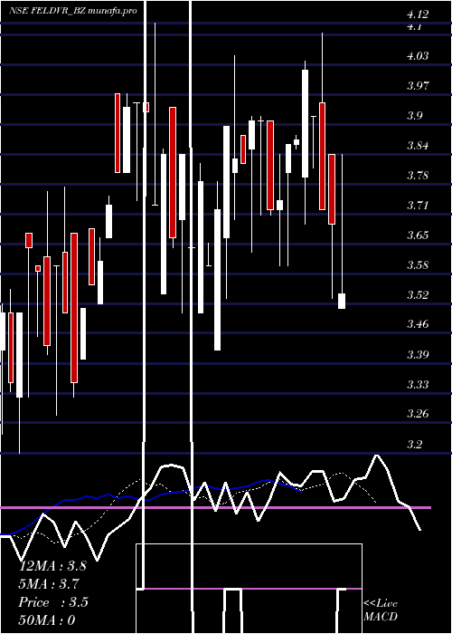 Daily chart FutureEnterprises