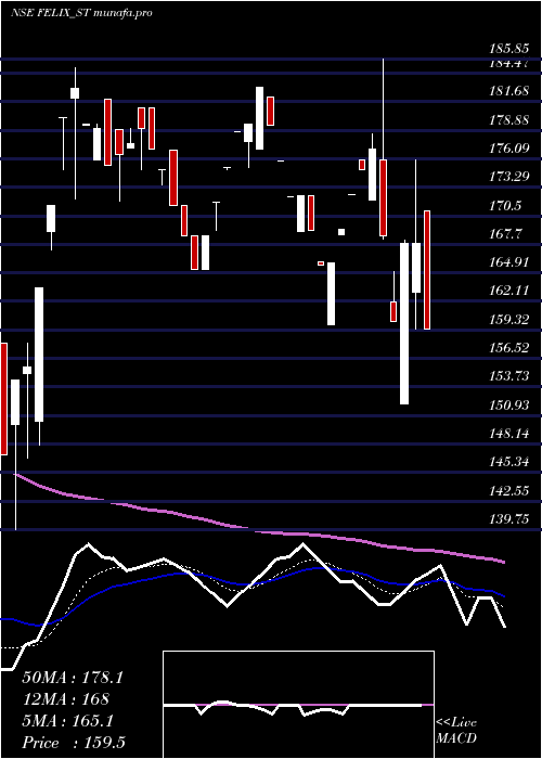  Daily chart FelixIndustries