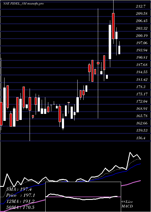  Daily chart FidelSoftech