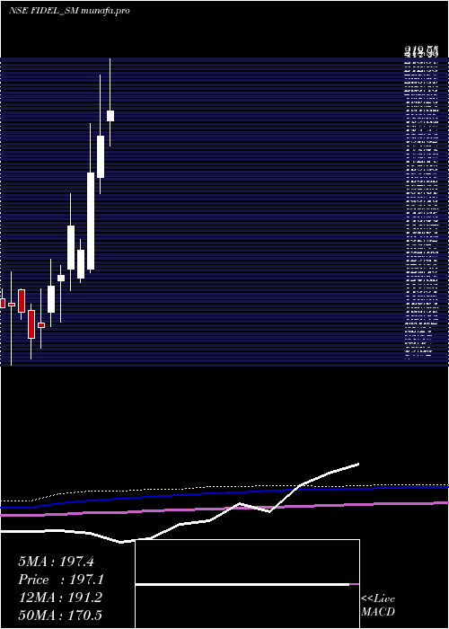  monthly chart FidelSoftech