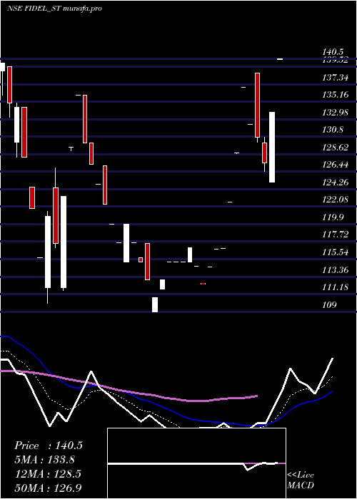 Daily chart FidelSoftech