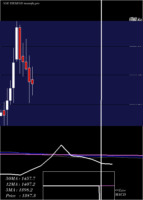  monthly chart FiemIndustries