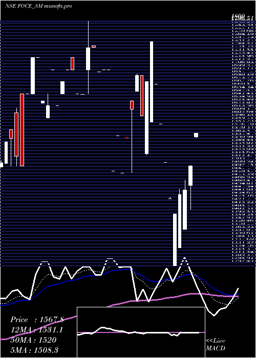 Daily chart FoceIndia