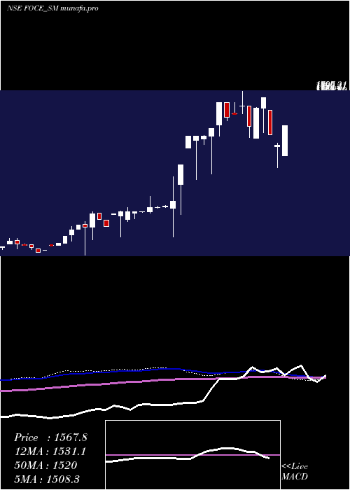 weekly chart FoceIndia