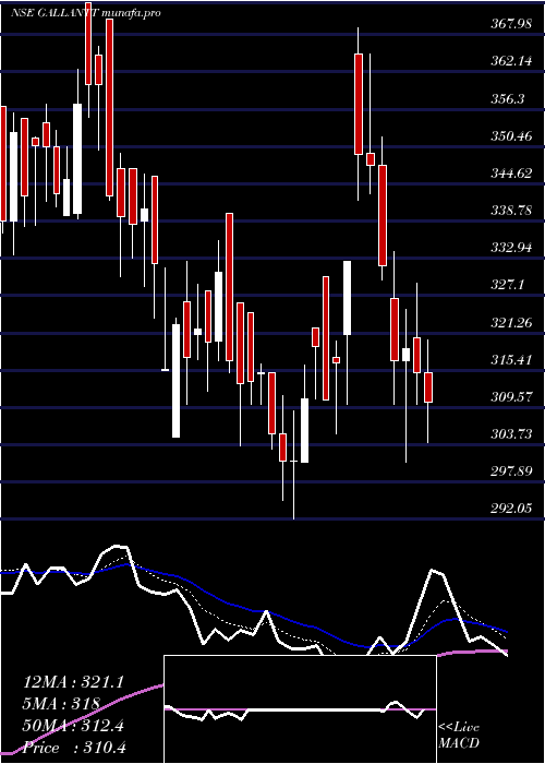  Daily chart GallanttMetal