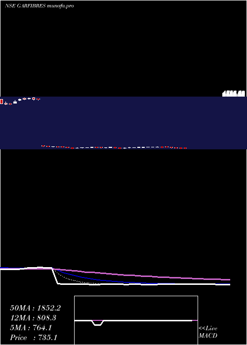  Daily chart GarwareTech