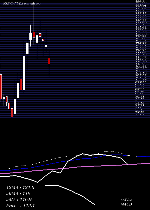  weekly chart GarudaConstruct