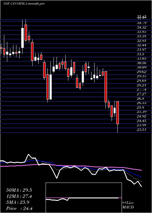  Daily chart GinniFilaments