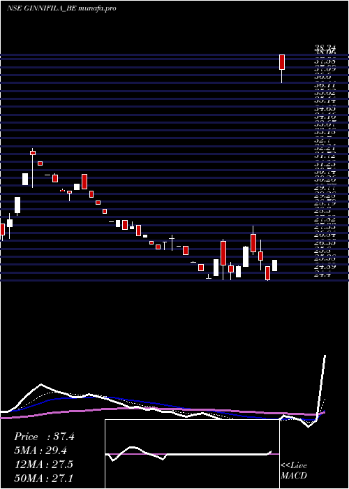 Daily chart Ginnifilaments