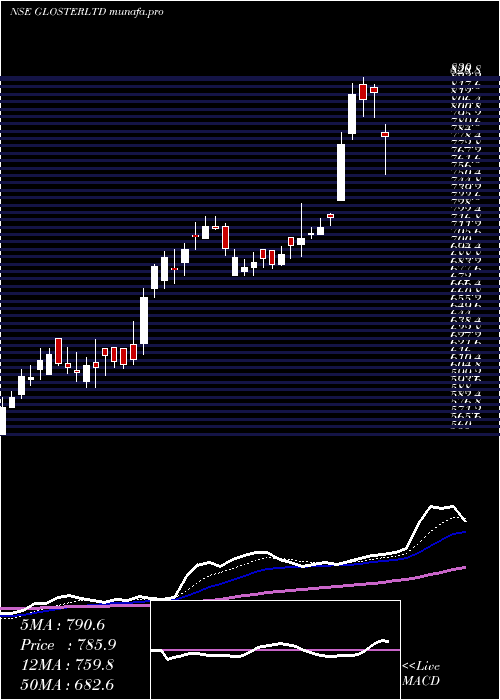  Daily chart Gloster