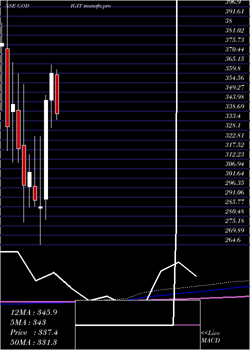  monthly chart GoDigit