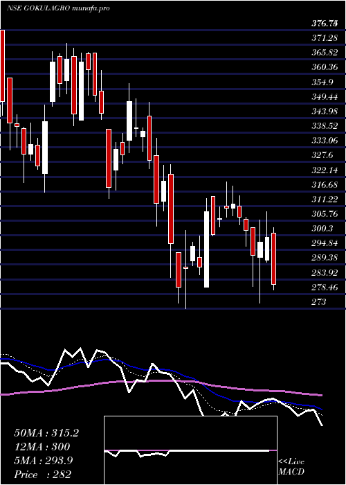  Daily chart GokulAgro