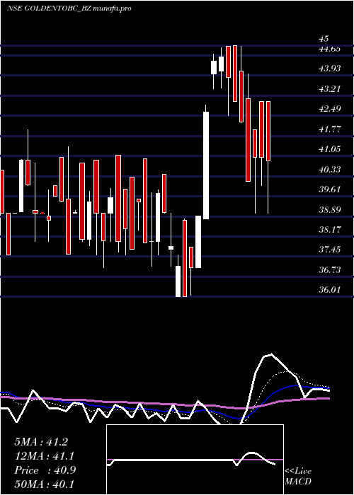  Daily chart GoldenTobacco